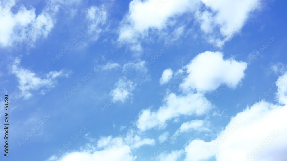 Fototapeta premium 雲とのコントラストが美しい晴れた空