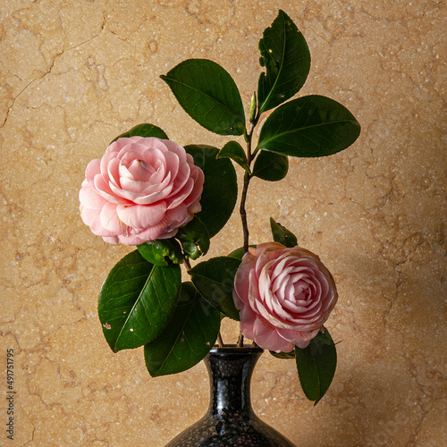 サザンカの花