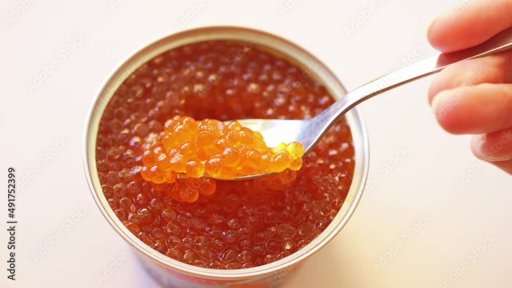 a spoonful of salted red caviar is taken out of the jar. delicacy. delicious canned fish. a traditional Russian snack for a festive banquet. a spoonful of salted red caviar is taken out of the jar. delicacy. delicious canned fish. a traditional Russian snack for a festive banquet.