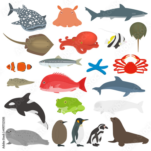 水族館の生物のイラストセット