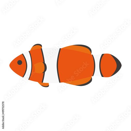 クマノミのイラスト