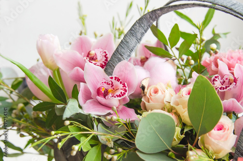 Decorative web banner made of beautiful pink rosies and eucalyptus isolated on white background. Feminine floral frame composition. Styled stock photo.