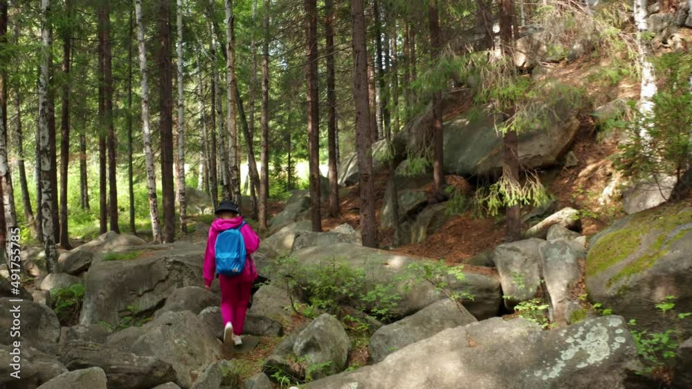 Aerial view of a girl walking in the woods Aerial view of a girl walking in the woods