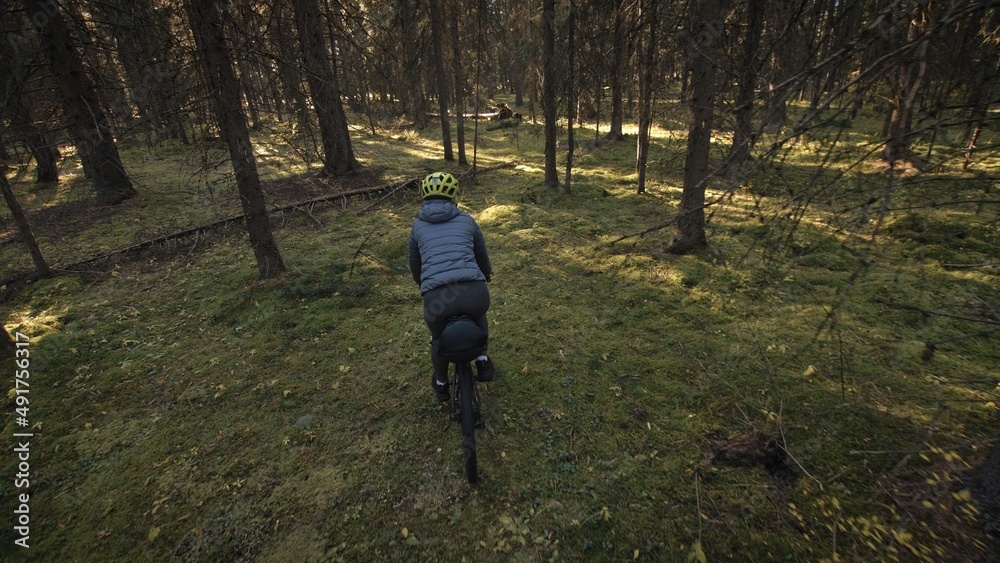 Obraz premium The woman travel on mixed terrain cycle touring with bike bikepacking outdoor. The traveler journey with bicycle bags. Stylish bikepacking, bike, sportswear in green black colors. Magic forest park.