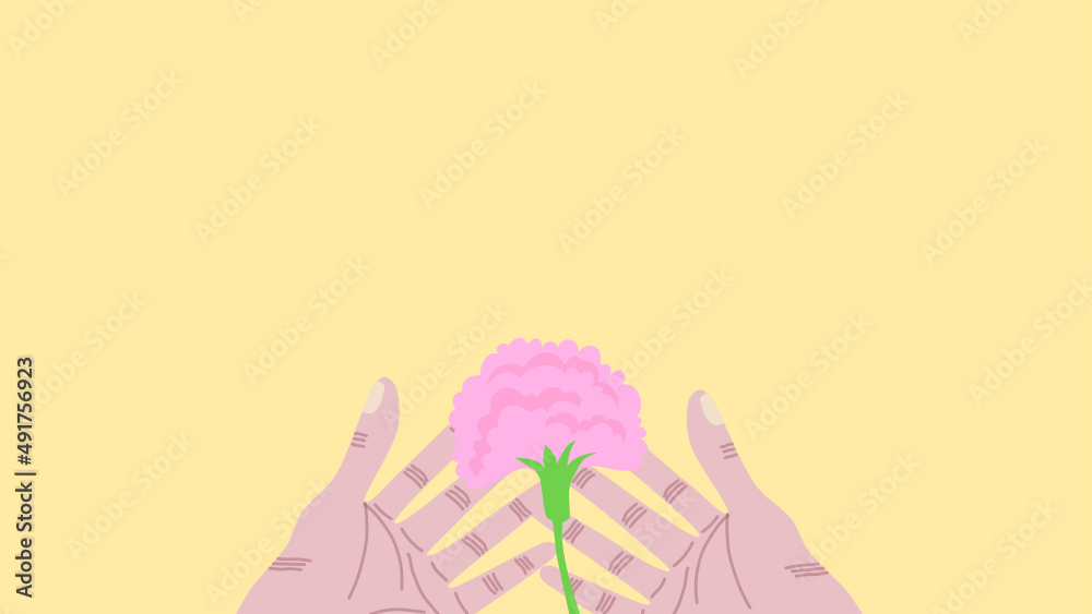 A pair of hands are giving a pink carnation, on a pale yellow background.  Vector. 