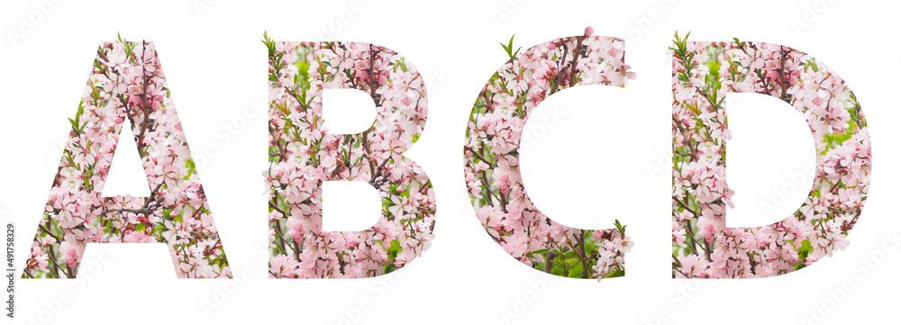 The letters The letters