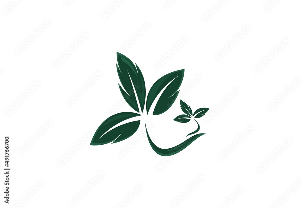 vector logo design leaf circle, green tea herbal, natural medicine, sprout with green leafs