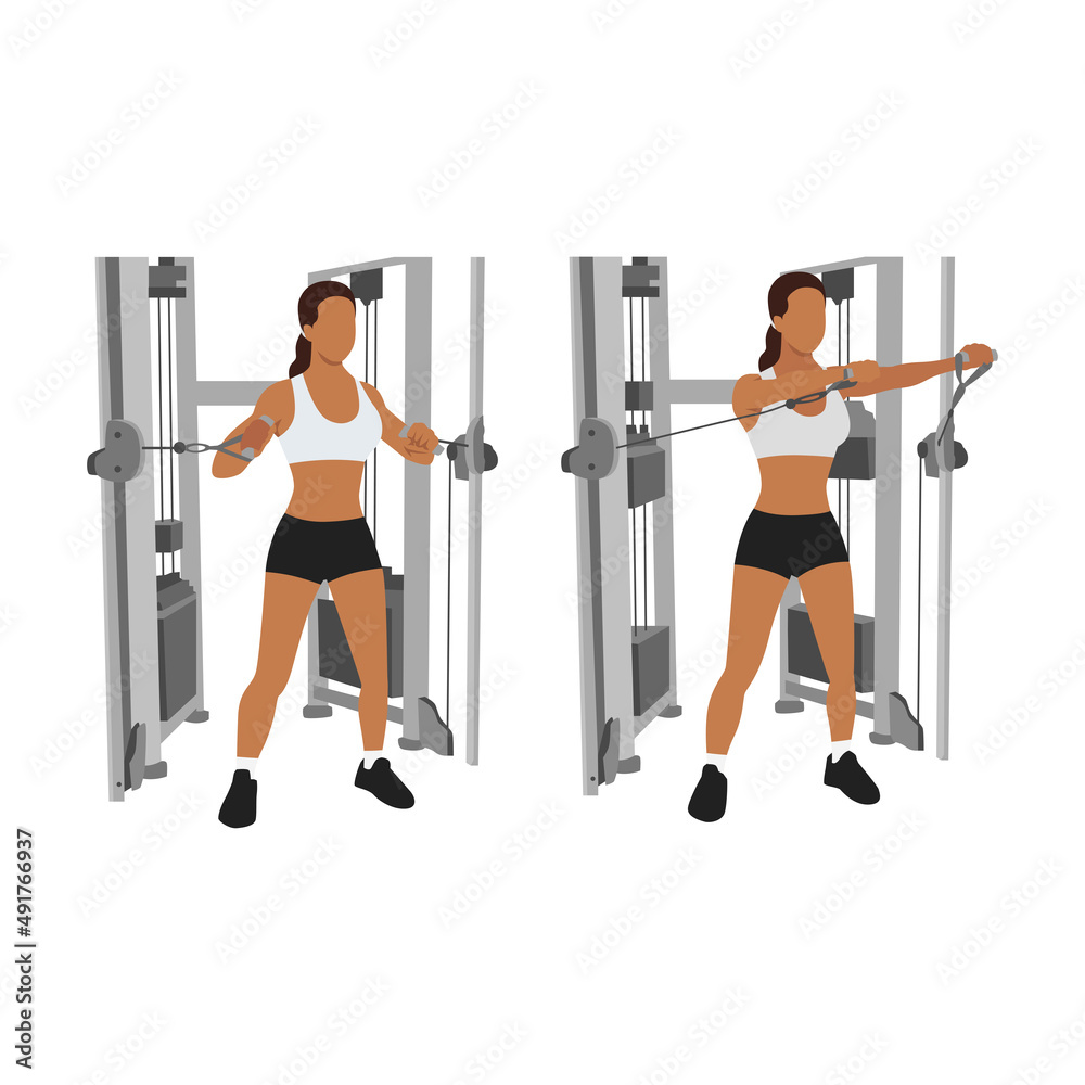 Fototapeta premium Woman doing standing cable chest press exercise, Flat vector illustration isolated on white background. Chest workout