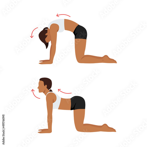Woman doing Yoga. cat cow stretch exercise. Flat vector illustration isolated on white background 