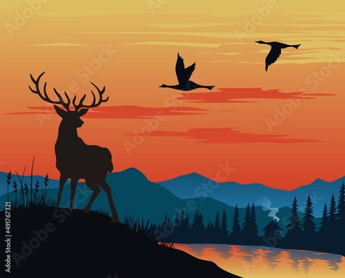 silhouette of deer in sunset 