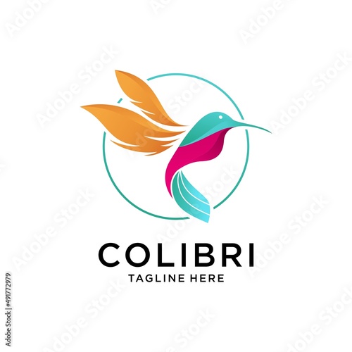 Hummingbird logo design vector template