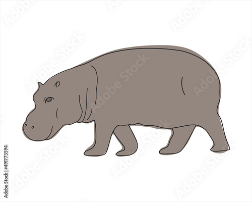 Hippopotamus isolated on white background, hand drawn, flat vector illustration or doodle style