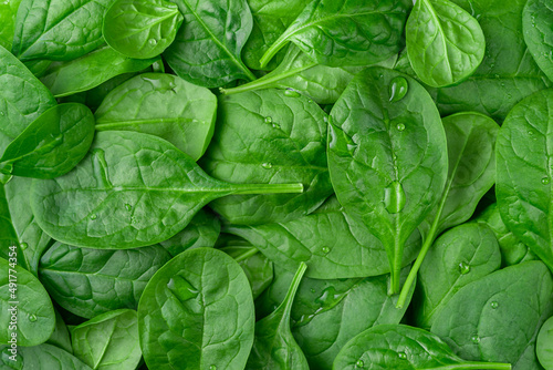 Fresh organic spinach background. Healthy eating, top view.