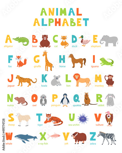 Colorful zoo alphabet poster with set of flat illustrations of cute animals for learning. ABC and English alphabet for children