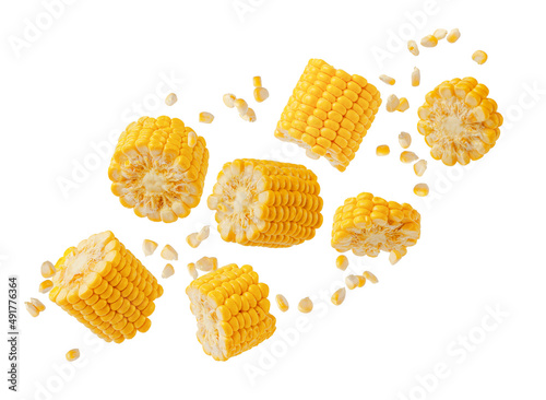 Broken flying sweet corn cob with grains isolated on white background. Design element for product label, catalog print. photo