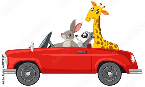 Cartoon animals in classic car on white background