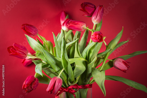 Fototapeta Naklejka Na Ścianę i Meble -  Bunch of spring tulips over dark red background. selective focus, greeting card, copy space, side view