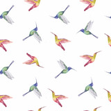Beautiful seamless pattern cute watercolor hand drawn hummingbirds. Colibri birds. Stock illustration.