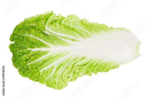 Tela leaf of fresh chinese cabbage or napa cabbage texture isolated on white background