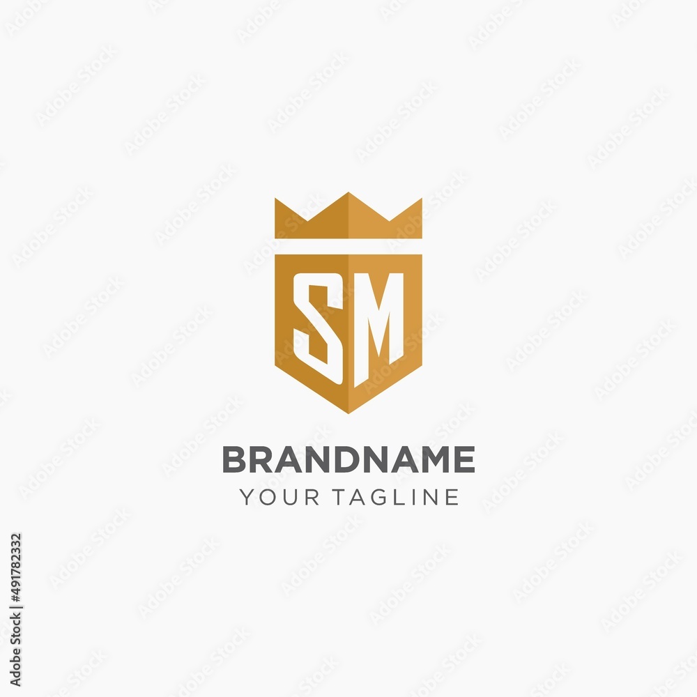 Sm brush letter logo design creative brushed Vector Image