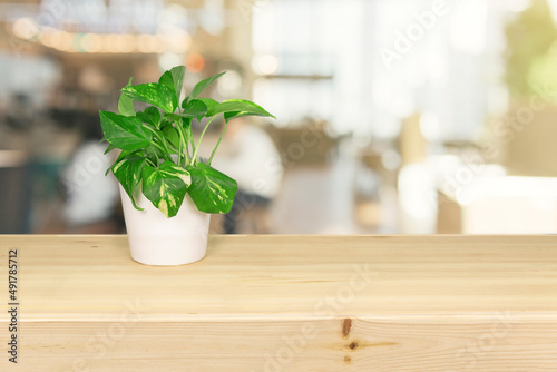flower on wooden table and background blur