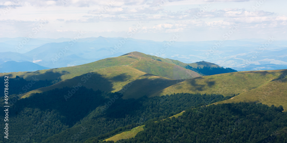 Fototapeta premium beautiful nature scenery in mountains. landscape of borzhava ridge on a sunny day. forested hills. and grassy meadows in dappled light. clouds on the sky above the horizon