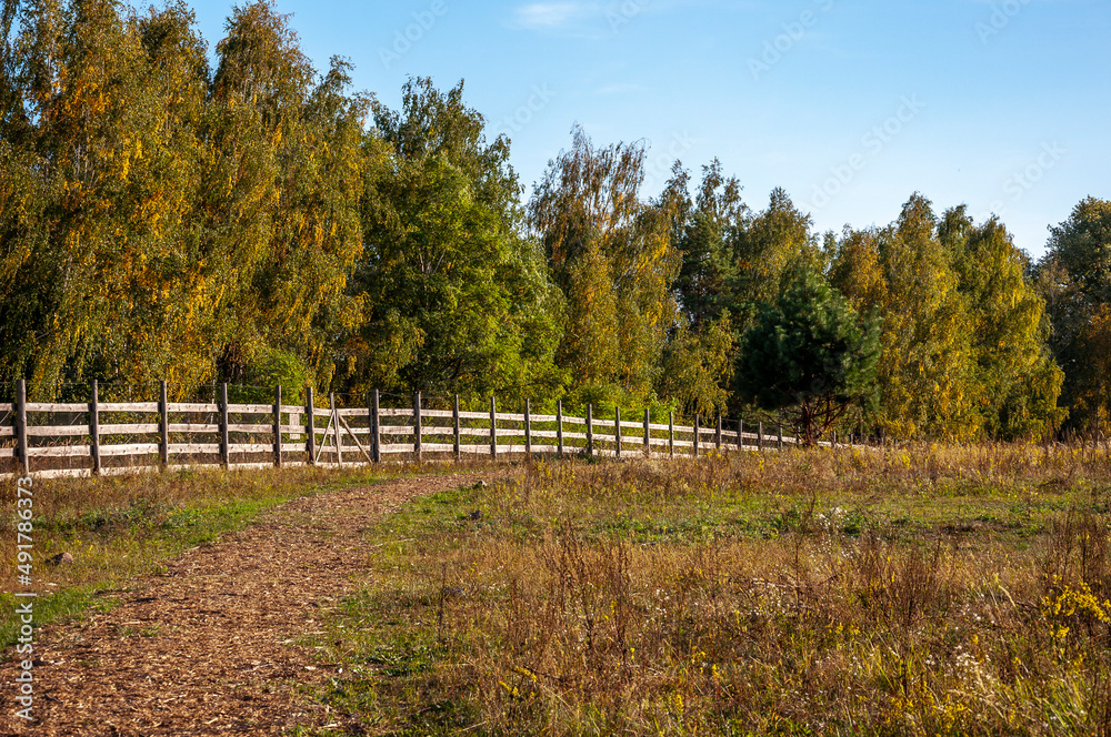 A corral for animals in a green meadow among trees. Small family farm