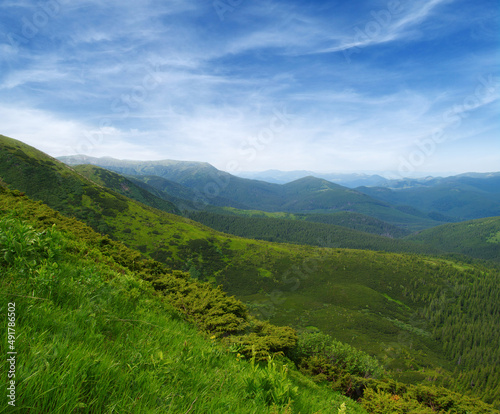 Mountain landscape in summer