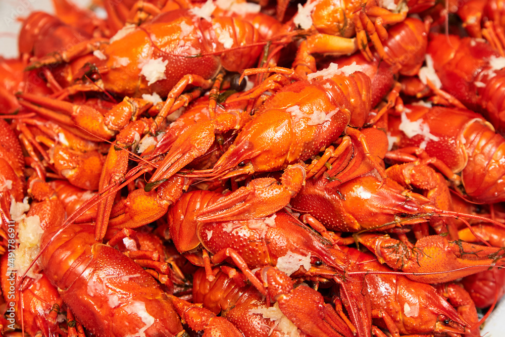 Red boiled crayfish with garlic and dill. Close-up, selective focus Red boiled crayfish with garlic and dill. Close-up, selective focus