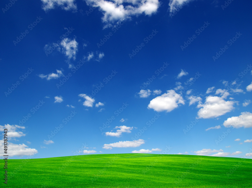  field and sky