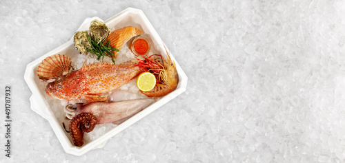 Styropor Kiste mit Fisch und Meeresfrüchten auf Eis. Fischkiste Seegras, Kaviar, Muscheln, Austern und Jakobsmuscheln Panorama photo