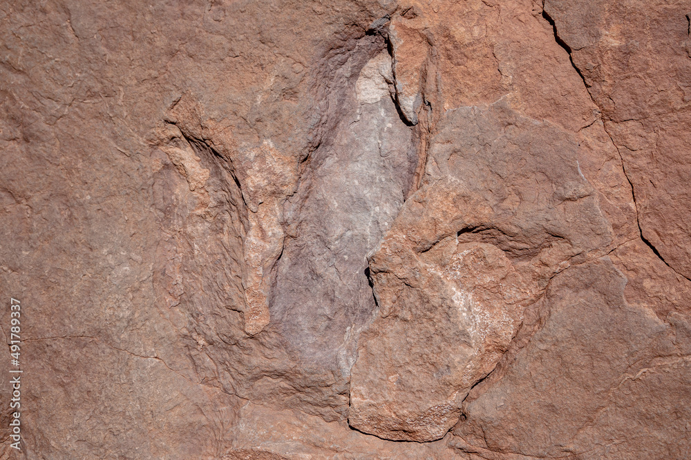 Obraz premium Dionsaur Tracks outside Moab, Utah, USA