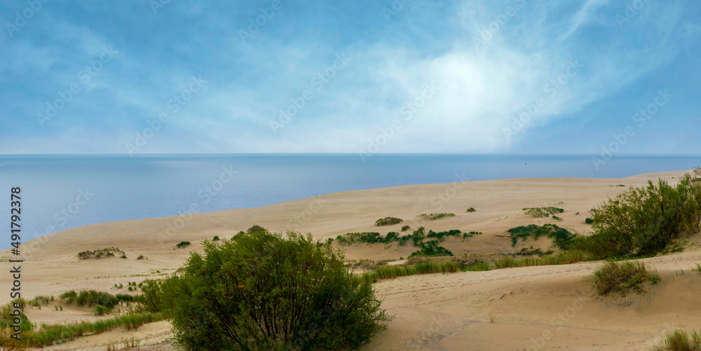 Panoramic view of the sand dunes and blue sky over the Curonian Lagoon on a summer morning. the Dune Epha's Height, Curonian Spit National Park, Russia