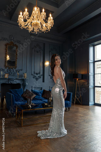 Beautiful brunette in a silver dress posing in a classic interior