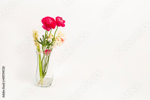 Wallpaper Mural red flower on pink background Torontodigital.ca