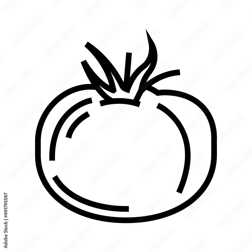 tomato vitamin vegetable line icon vector. tomato vitamin vegetable sign. isolated contour symbol black illustration tomato vitamin vegetable line icon vector. tomato vitamin vegetable sign. isolated contour symbol black illustration