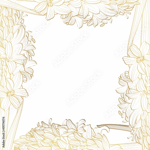 Illustration of a frame of graphic linear golden hyacinth. Banner template with spring flowers. 