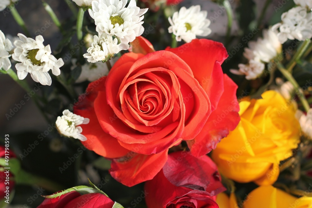 bouquet of roses bouquet of roses