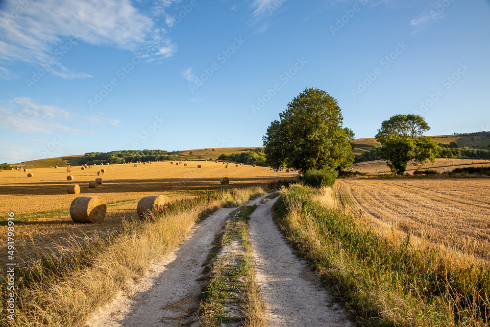 A Summer Farm Landscape in Sussex with hay bales in the fields