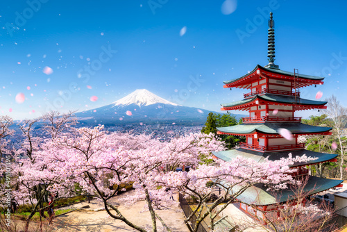 Chureito Pagoda and Mount Fuji with cherry blossom during spring season, Fujiyoshida, Japan photo