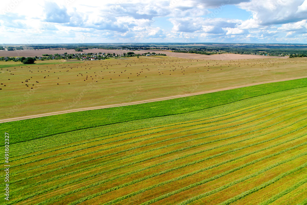 Green field, aerial view. Field after cutting grass and hay. Drone view of the field in countryside. Farmland Top view. Sowing seeds on a plantation near farm. Arable land ploughed and soil tillage.
