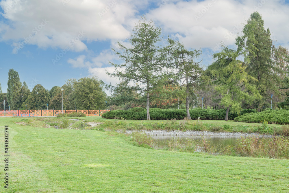 Beautiful landscape of trees and green grass