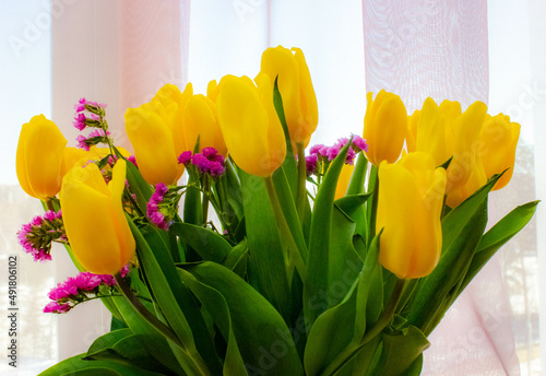 spring flowers yellow tulips on a soft pink background 