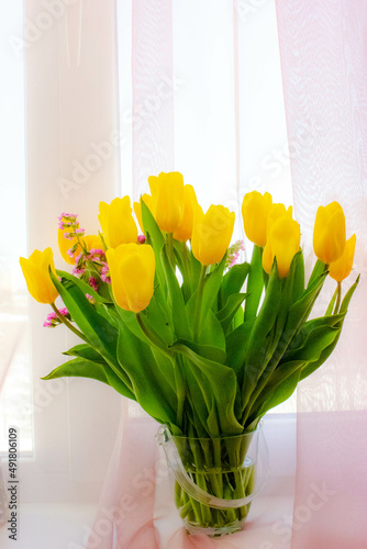 spring flowers yellow tulips on a soft pink background 