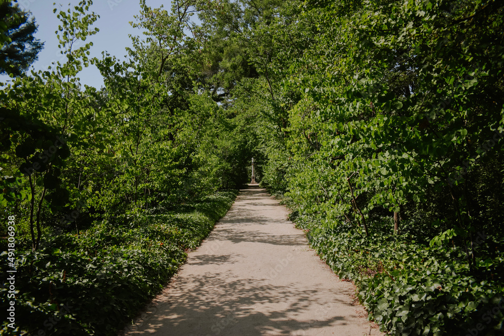 path in the park