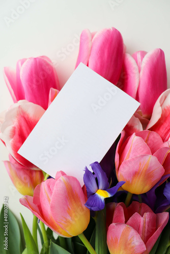 Fototapeta Naklejka Na Ścianę i Meble -  greeting card design. bouquet of tulips on a white background and space for text 