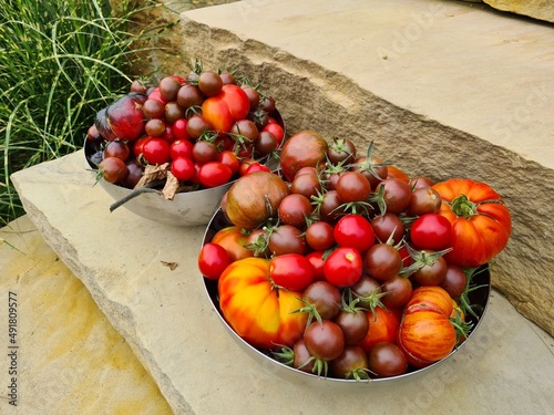 ekologiczne pomidory z własnego ogródka