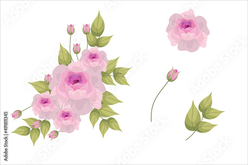 Set of pink flowers and green leaf clipart isolated