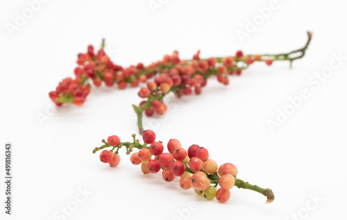 colourful little Berry isolated on white background, selective focus