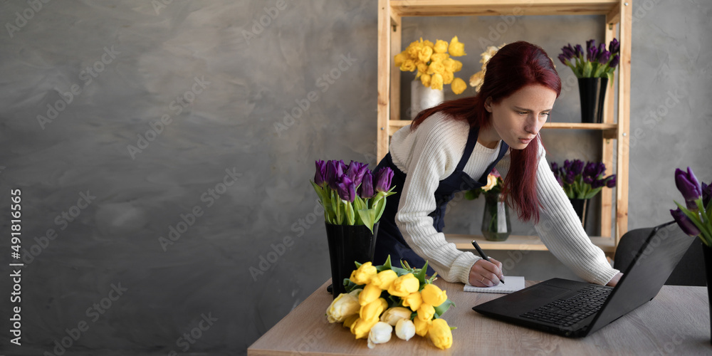 Small business. a female florist in a flower shop near a showcase with tulips in an apron takes an order online using her laptop. Banner. - obrazy, fototapety, plakaty 